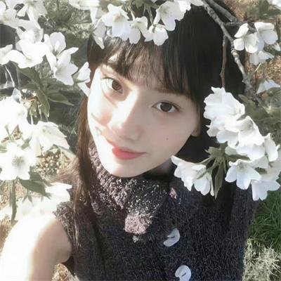 大卫·戈尔的一生