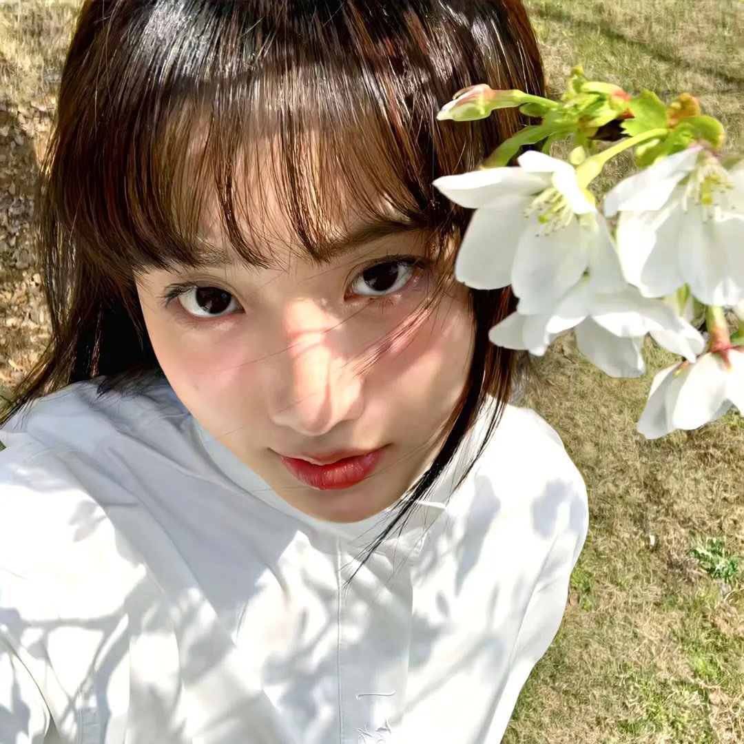 轻音少女第二季